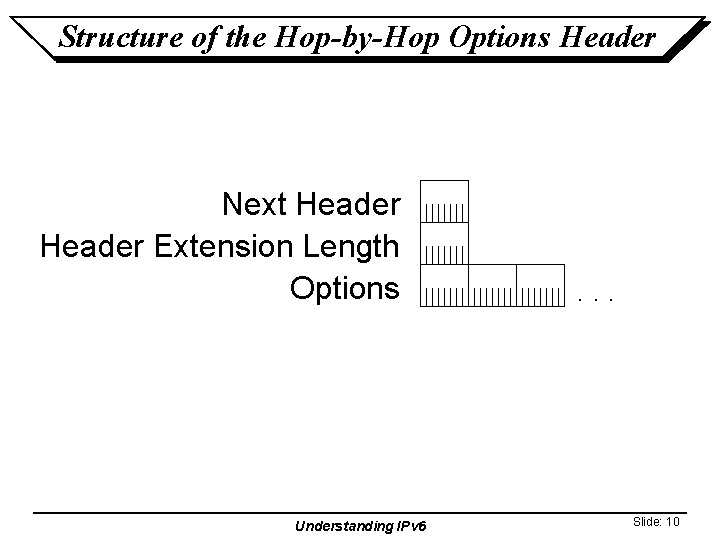 Structure of the Hop-by-Hop Options Header Next Header Extension Length Options Understanding IPv 6