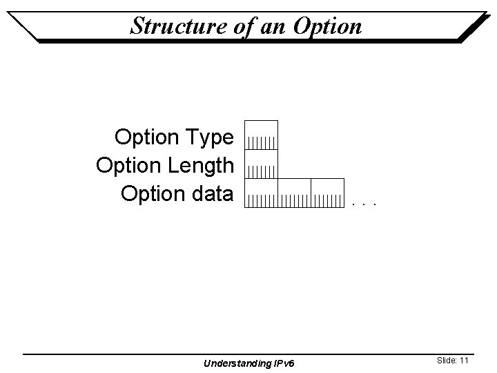 Structure of an Option Type Option Length Option data Understanding IPv 6 . .