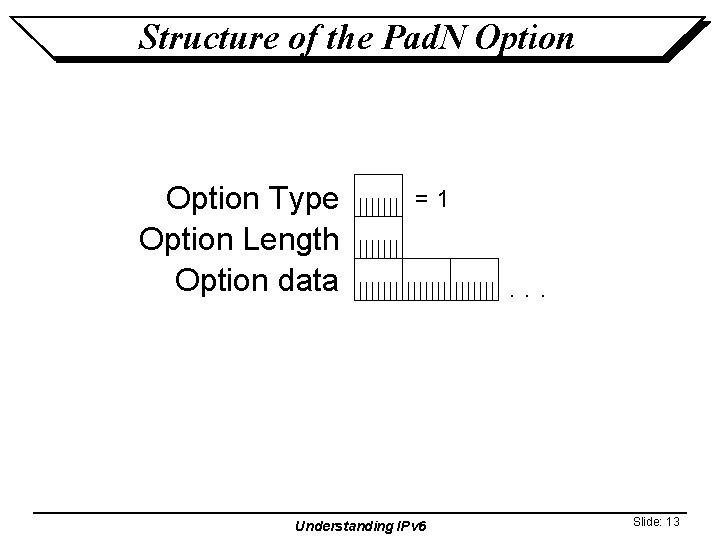 Structure of the Pad. N Option Type Option Length Option data =1 Understanding IPv