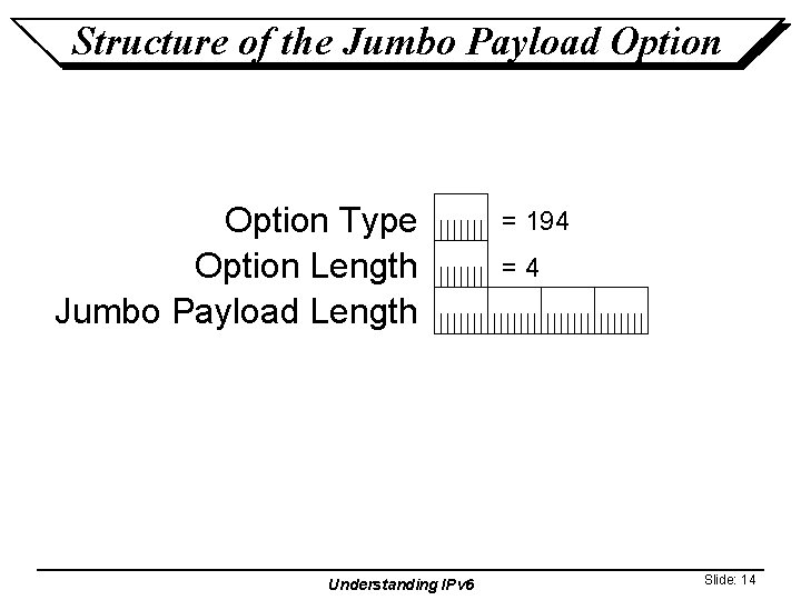Structure of the Jumbo Payload Option Type Option Length Jumbo Payload Length Understanding IPv