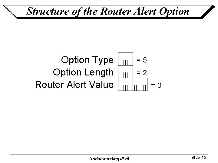 Structure of the Router Alert Option Type Option Length Router Alert Value Understanding IPv