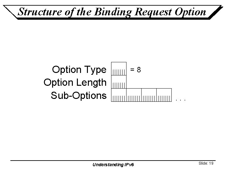 Structure of the Binding Request Option Type Option Length Sub-Options =8 Understanding IPv 6