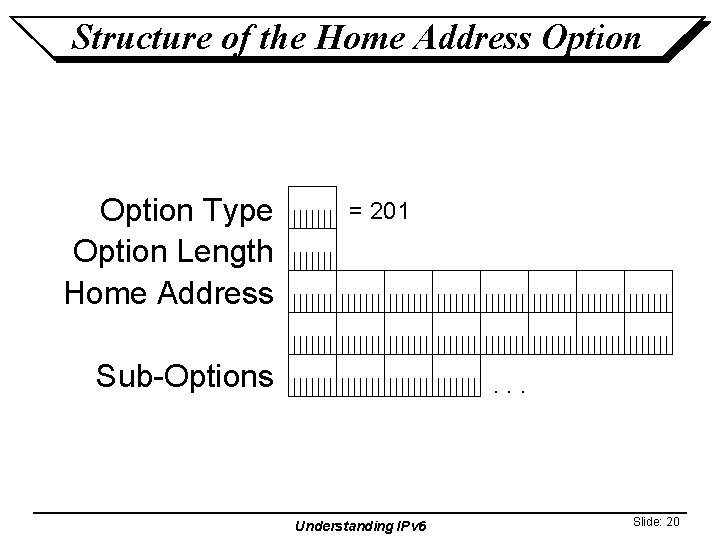 Structure of the Home Address Option Type Option Length Home Address = 201 Sub-Options