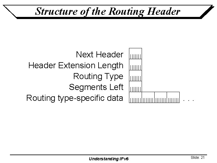 Structure of the Routing Header Next Header Extension Length Routing Type Segments Left Routing