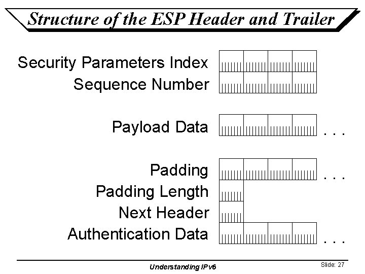 Structure of the ESP Header and Trailer Security Parameters Index Sequence Number Payload Data