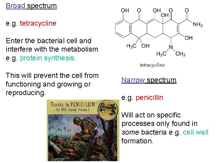 Broad spectrum e. g. tetracycline Enter the bacterial cell and interfere with the metabolism