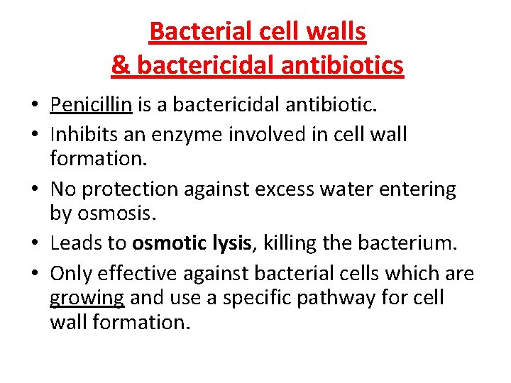 Bacterial cell walls & bactericidal antibiotics • Penicillin is a bactericidal antibiotic. • Inhibits