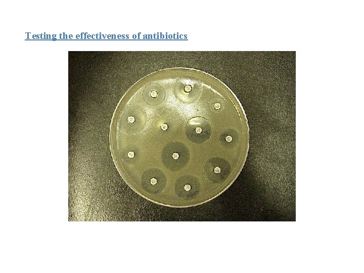 Testing the effectiveness of antibiotics 