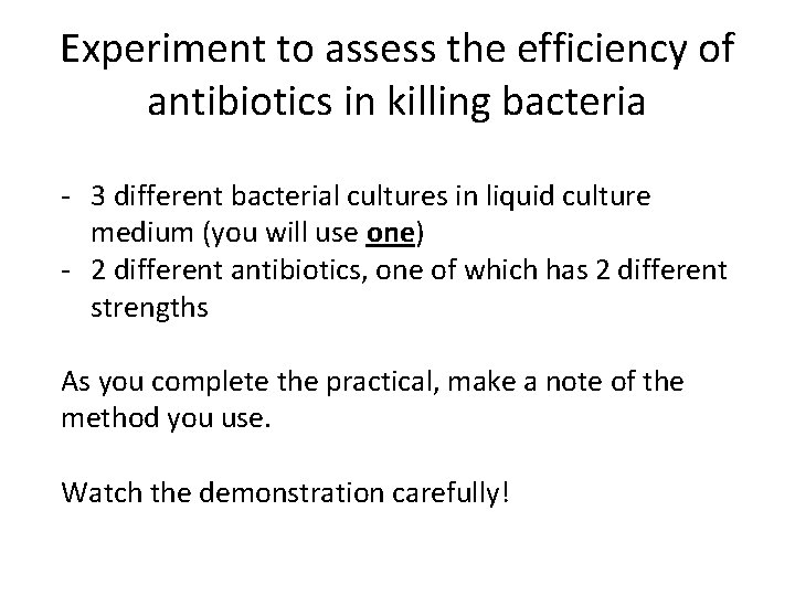 Experiment to assess the efficiency of antibiotics in killing bacteria - 3 different bacterial
