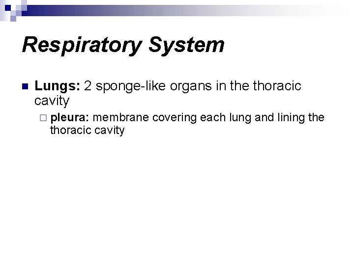 Respiratory System n Lungs: 2 sponge-like organs in the thoracic cavity ¨ pleura: membrane