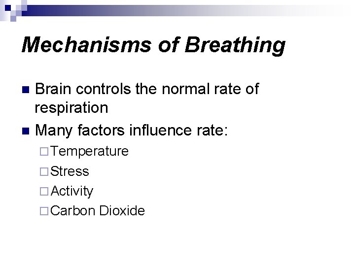 Mechanisms of Breathing Brain controls the normal rate of respiration n Many factors influence