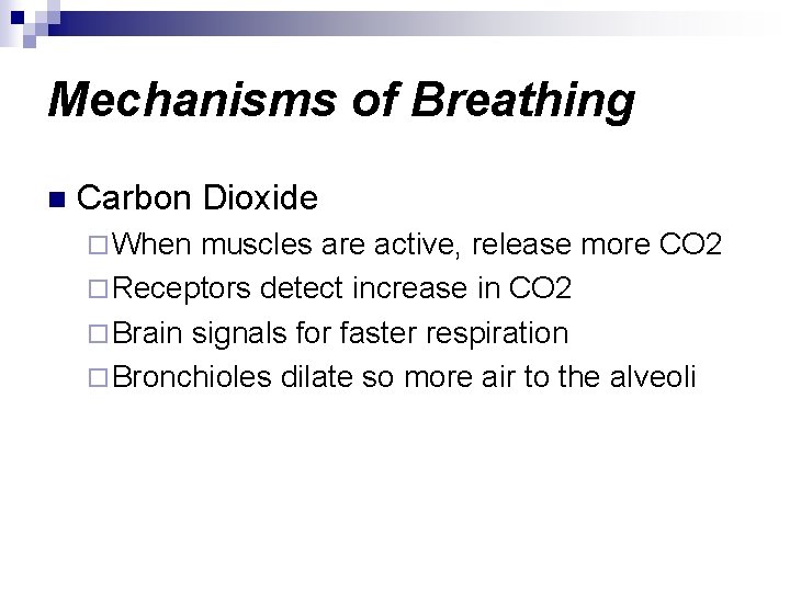 Mechanisms of Breathing n Carbon Dioxide ¨ When muscles are active, release more CO