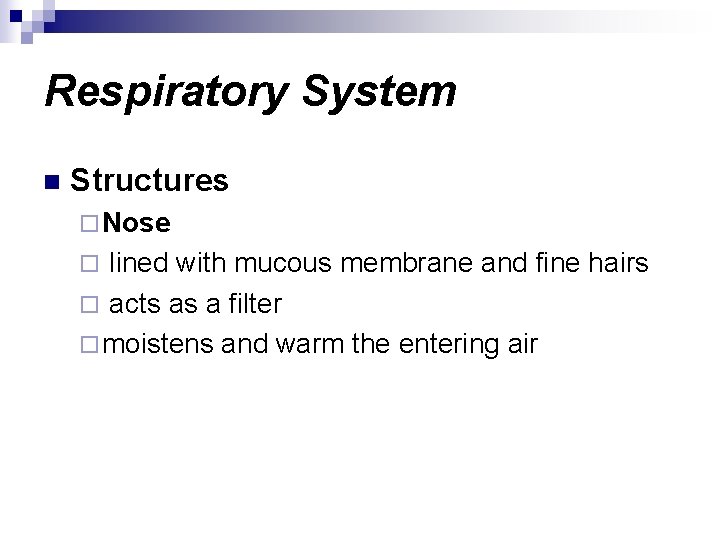 Respiratory System n Structures ¨ Nose lined with mucous membrane and fine hairs ¨