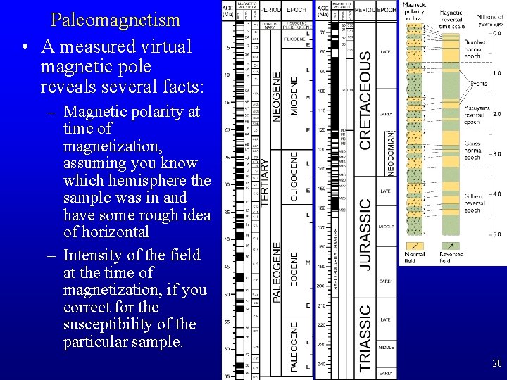 Paleomagnetism • A measured virtual magnetic pole reveals several facts: – Magnetic polarity at