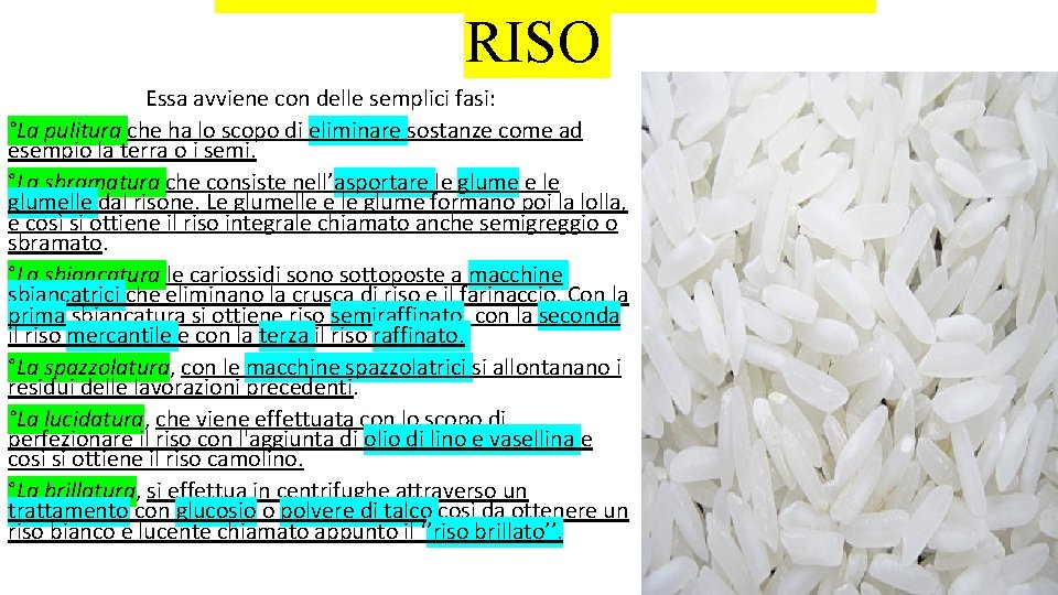 RISO Essa avviene con delle semplici fasi: °La pulitura che ha lo scopo di