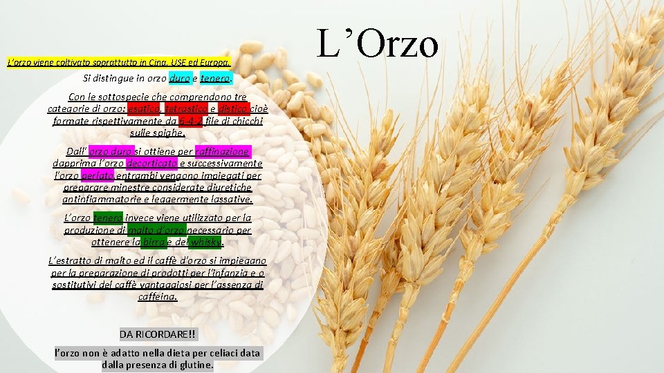 L’orzo viene coltivato soprattutto in Cina, USE ed Europa. Si distingue in orzo duro