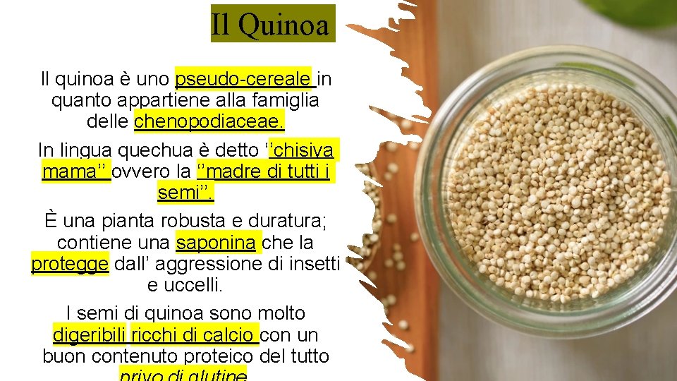Il Quinoa Il quinoa è uno pseudo-cereale in quanto appartiene alla famiglia delle chenopodiaceae.