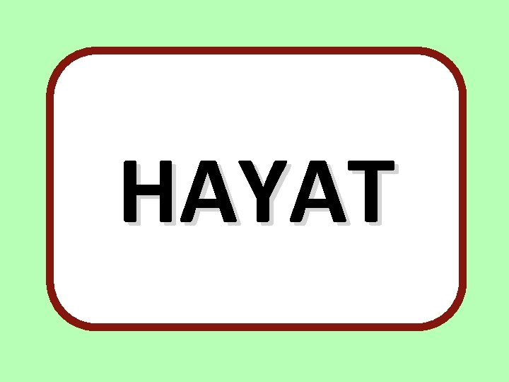 HAYAT 