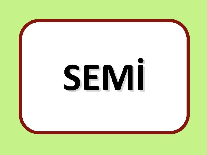 SEMİ 