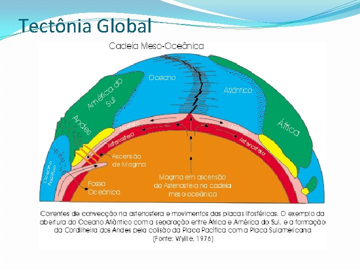 Tectônia Global 