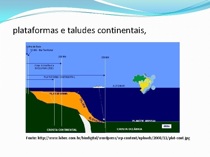 plataformas e taludes continentais, Fonte: http: //www. labec. com. br/biodigital/wordpress/wp-content/uploads/2008/11/plat-cont. jpg 