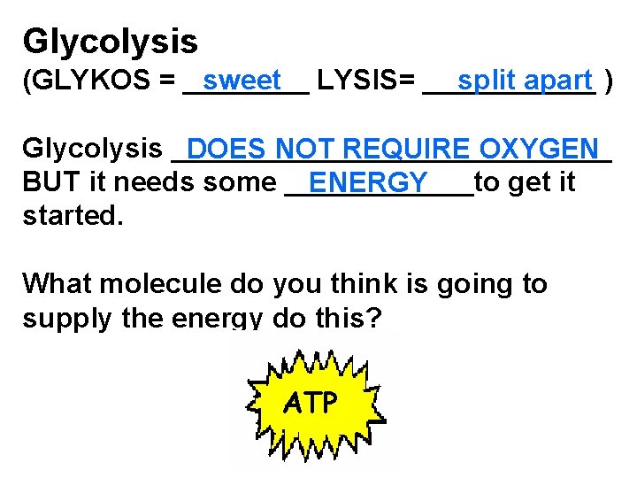 Glycolysis sweet LYSIS= ______ split apart ) (GLYKOS = ____ Glycolysis ______________ DOES NOT