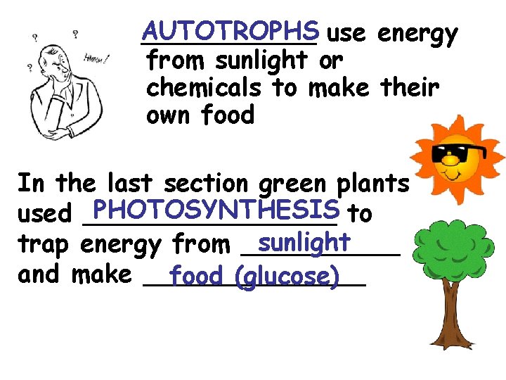 AUTOTROPHS ______ use energy from sunlight or chemicals to make their own food In