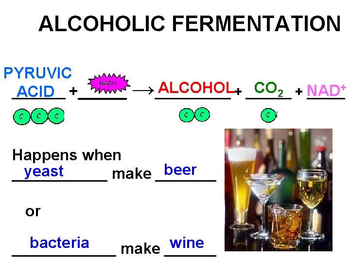 ALCOHOLIC FERMENTATION PYRUVIC _______ ACID +_____ ALCOHOL+ ______ CO 2 + NAD →_____+ Happens
