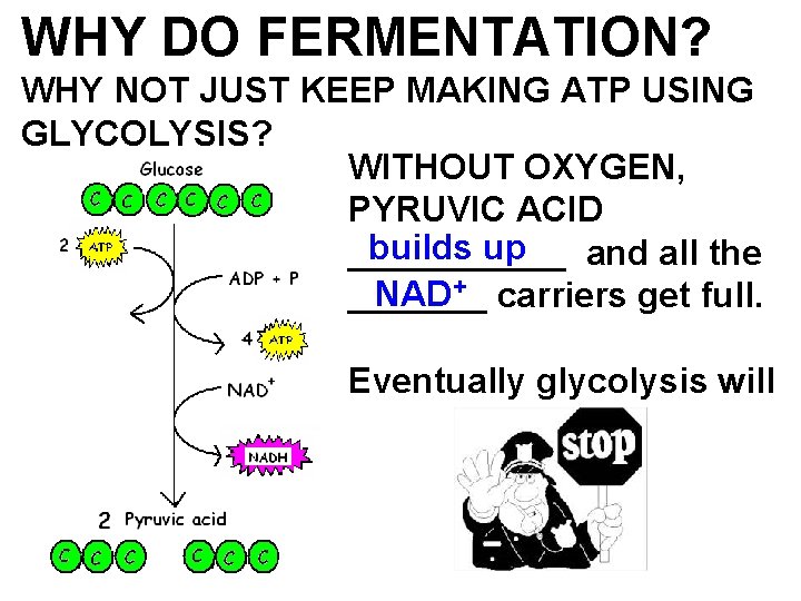 WHY DO FERMENTATION? WHY NOT JUST KEEP MAKING ATP USING GLYCOLYSIS? WITHOUT OXYGEN, PYRUVIC