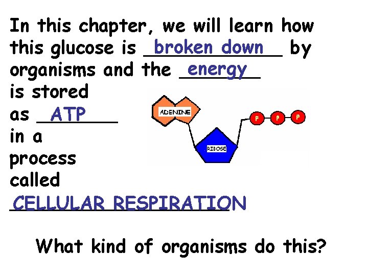 In this chapter, we will learn how broken down by this glucose is ______