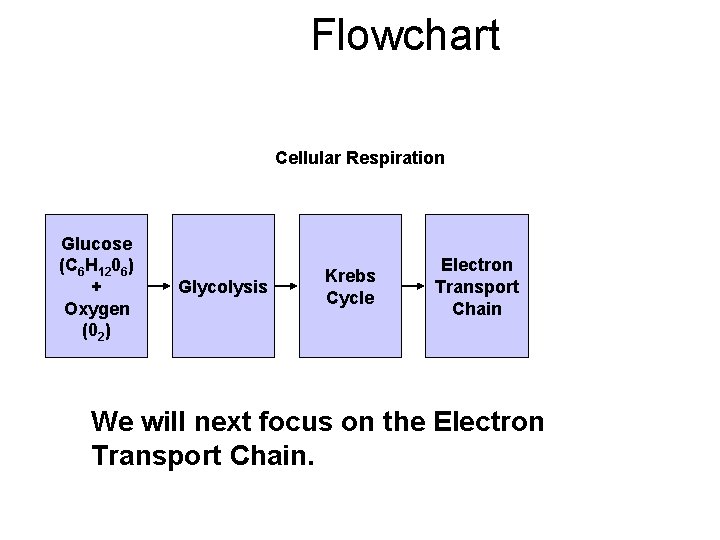 Flowchart Section 9 -2 Cellular Respiration Glucose (C 6 H 1206) + Oxygen (02)