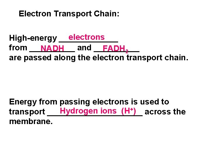 Electron Transport Chain: electrons High-energy _______ from _____ and _____ NADH FADH 2 are