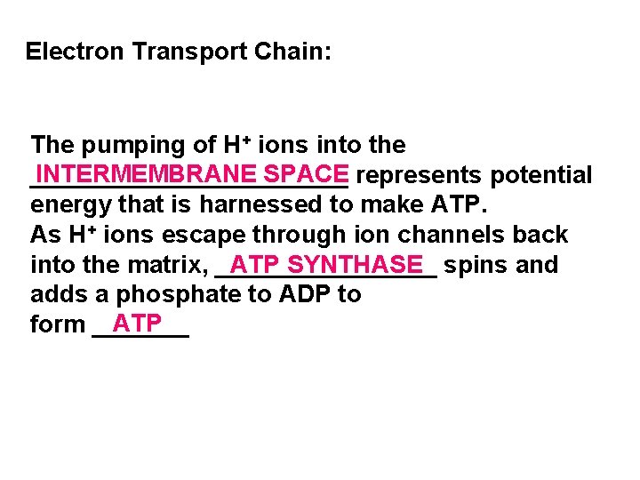 Electron Transport Chain: The pumping of H+ ions into the INTERMEMBRANE SPACE represents potential