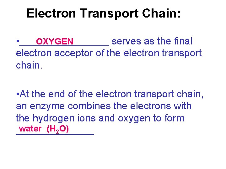 Electron Transport Chain: • ________ serves as the final OXYGEN electron acceptor of the