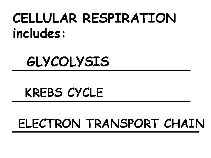 CELLULAR RESPIRATION includes: GLYCOLYSIS ___________ KREBS CYCLE ___________ ELECTRON TRANSPORT CHAIN ____________ 