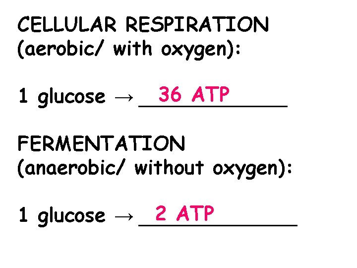 CELLULAR RESPIRATION (aerobic/ with oxygen): 36 ATP 1 glucose → ________ FERMENTATION (anaerobic/ without