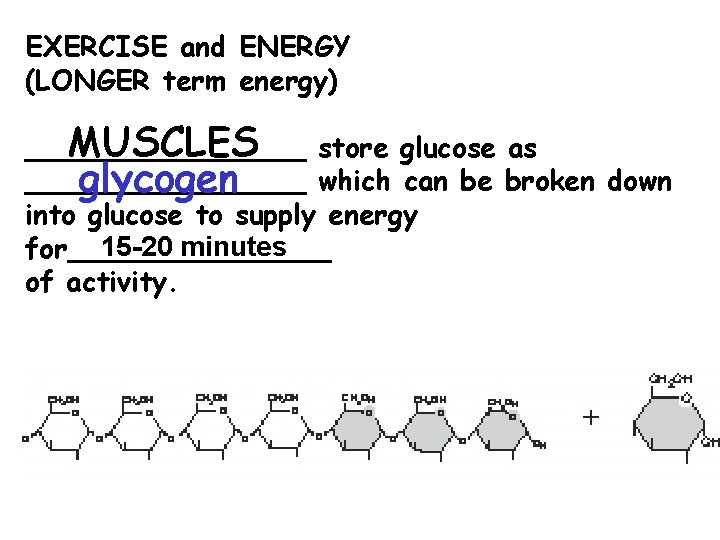 EXERCISE and ENERGY (LONGER term energy) MUSCLES store glucose as ________________ which can be