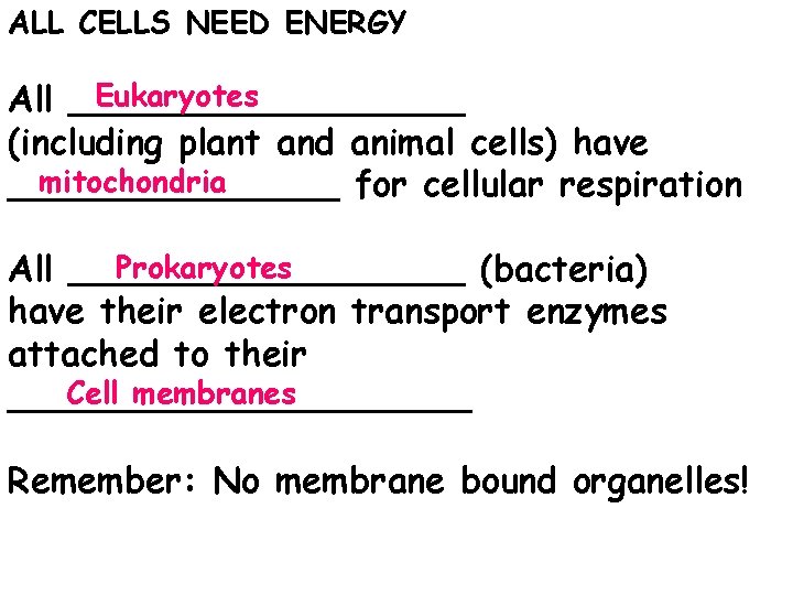 ALL CELLS NEED ENERGY Eukaryotes All _________ (including plant and animal cells) have mitochondria