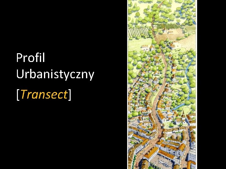 Profil Urbanistyczny [Transect] 