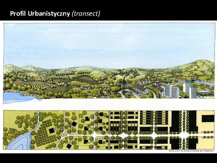 Profil Urbanistyczny (transect) 