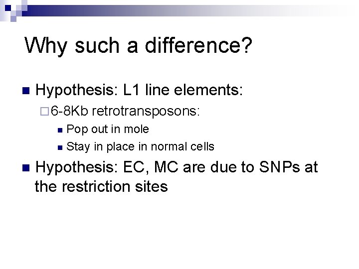 Why such a difference? n Hypothesis: L 1 line elements: ¨ 6 -8 Kb