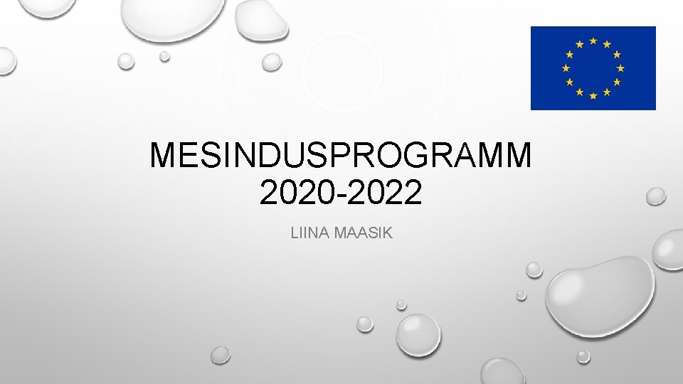 MESINDUSPROGRAMM 2020 -2022 LIINA MAASIK 