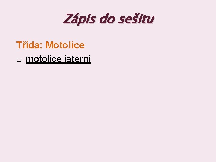 Zápis do sešitu Třída: Motolice motolice jaterní 