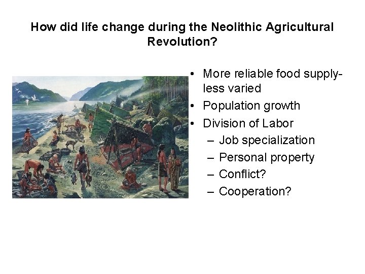 How did life change during the Neolithic Agricultural Revolution? • More reliable food supplyless