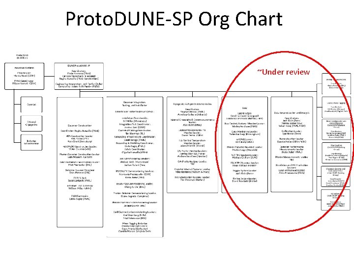 Proto. DUNE-SP Org Chart ~Under review 