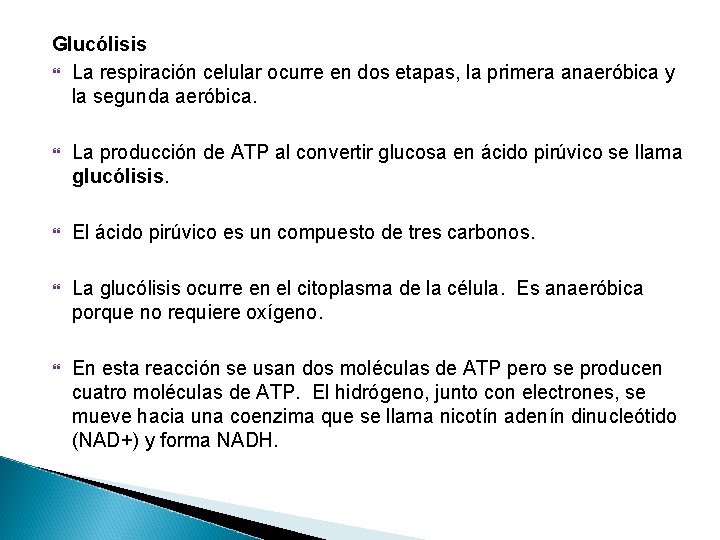 Glucólisis La respiración celular ocurre en dos etapas, la primera anaeróbica y la segunda