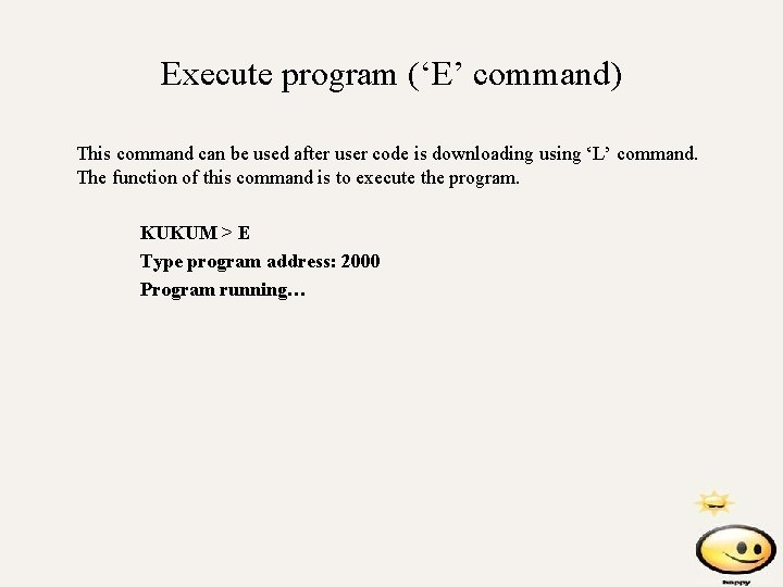 Execute program (‘E’ command) This command can be used after user code is downloading