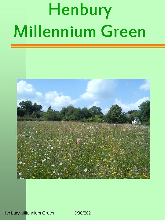 Henbury Millennium Green 13/06/2021 