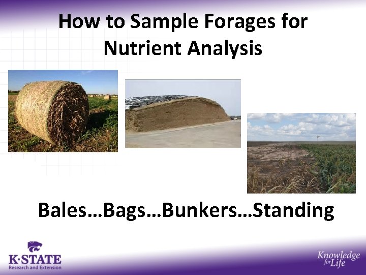 How to Sample Forages for Nutrient Analysis Bales…Bags…Bunkers…Standing 