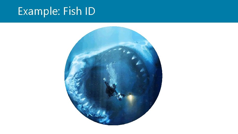 Example: Fish ID 